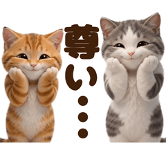 Move Cute Cats