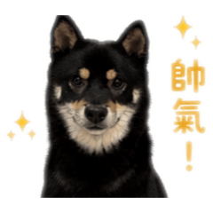 Money 1歲生日
