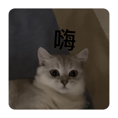 膽小乖來嚕