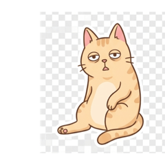 咪咪貓貓毛毛貓