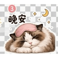布偶貓Emma 主管日常