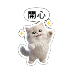 錢多貓