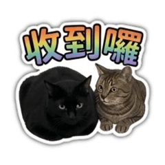 奶油與他的朋友