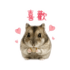 倉倉咬一口-柒柒日常