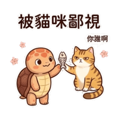 小t的動物夥伴互動日常