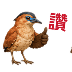 我的可愛鳥語