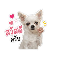happy_20260507224643