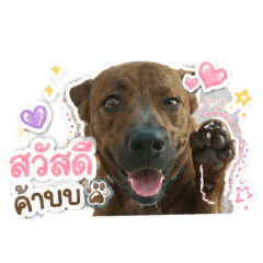 Wirawat_20260507224749