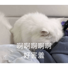 咘咘教