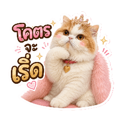 Aunpung meow_20260709192129