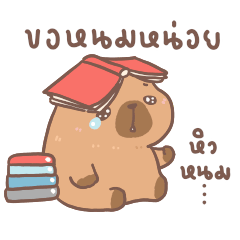 คาปิขอ : ขอให้เป็นวันที่ดี