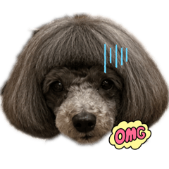 Mikiko_20260713023530