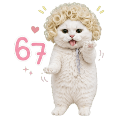 น้องหยิกฟู : 67