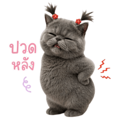 น้องชาร์โคลแกละ : ปวดหลัง