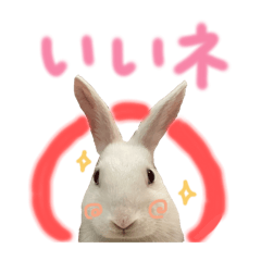 Hana_20260713151356