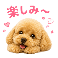 HANA_20260712224822