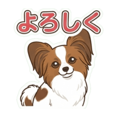 mayu_20260713004858