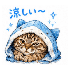 mumumu_20260713123004