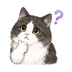 Asagi the Fluffy Cat - Everyday Stickers