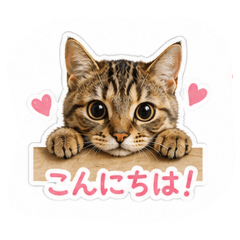 so mei_20260713130949