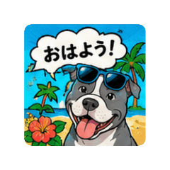 american pit bull terrier to     day