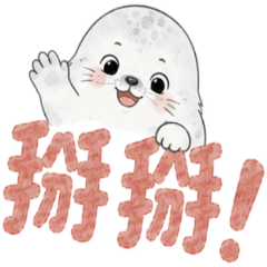 Pastel Baby Seal: Sweet Days [ZiFu]