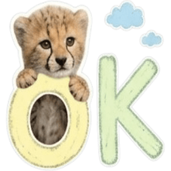 Pastel Baby Cheetah: Sweet [ZiFu]