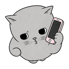 Miso, the Sassy Gray Cat (No text)