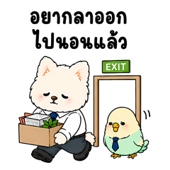 Taohuay & Dango: Burnt Out, Still Online