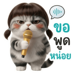 Chubby WhiteCat - Let Me Say Something