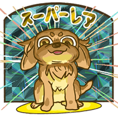 Dog's0