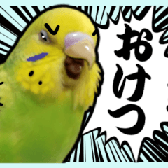 inko sticker 3