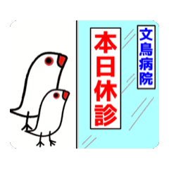 文鳥さん病院へ3