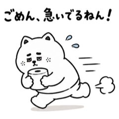 Runny Tummy Cat
