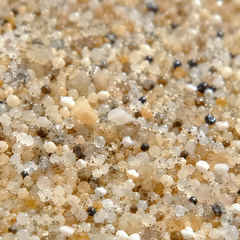 This is what a sandy beach is all about.