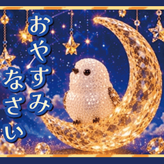 A bird to accompany your daily life