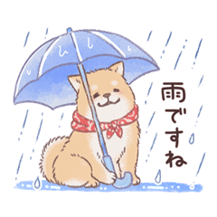 ずっと使える！夏のもふもふ豆柴