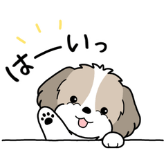 Dog sticker.#21 Shih Tzu