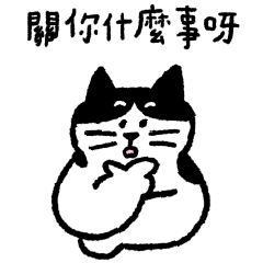 Kuku Cat's Tough Little Life - 2