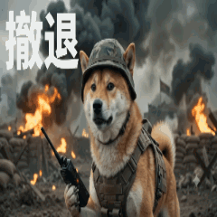 taitai (4) - Catchphrase