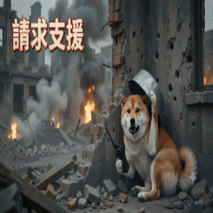 taitai (2)