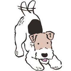 Wire Fox Terrier Mozart-Goofy Pup