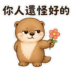 Cute Otter's Sassy Daily Life