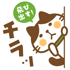 Popup! Hachiware Hachita-san Sticker
