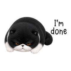 Bonbon, the Tuxedo Boss (EN)