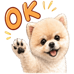 Fluffy Pomeranian: Super Day