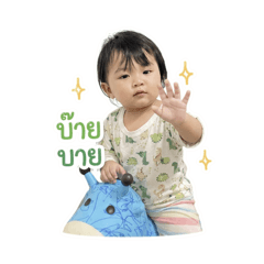 The BabyBoss