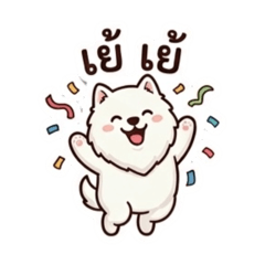 The mischievous Samoyed