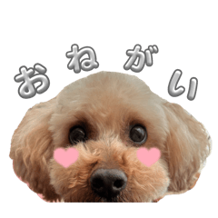 mayu_20260714144759