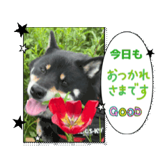 Ayumi_20260715153331